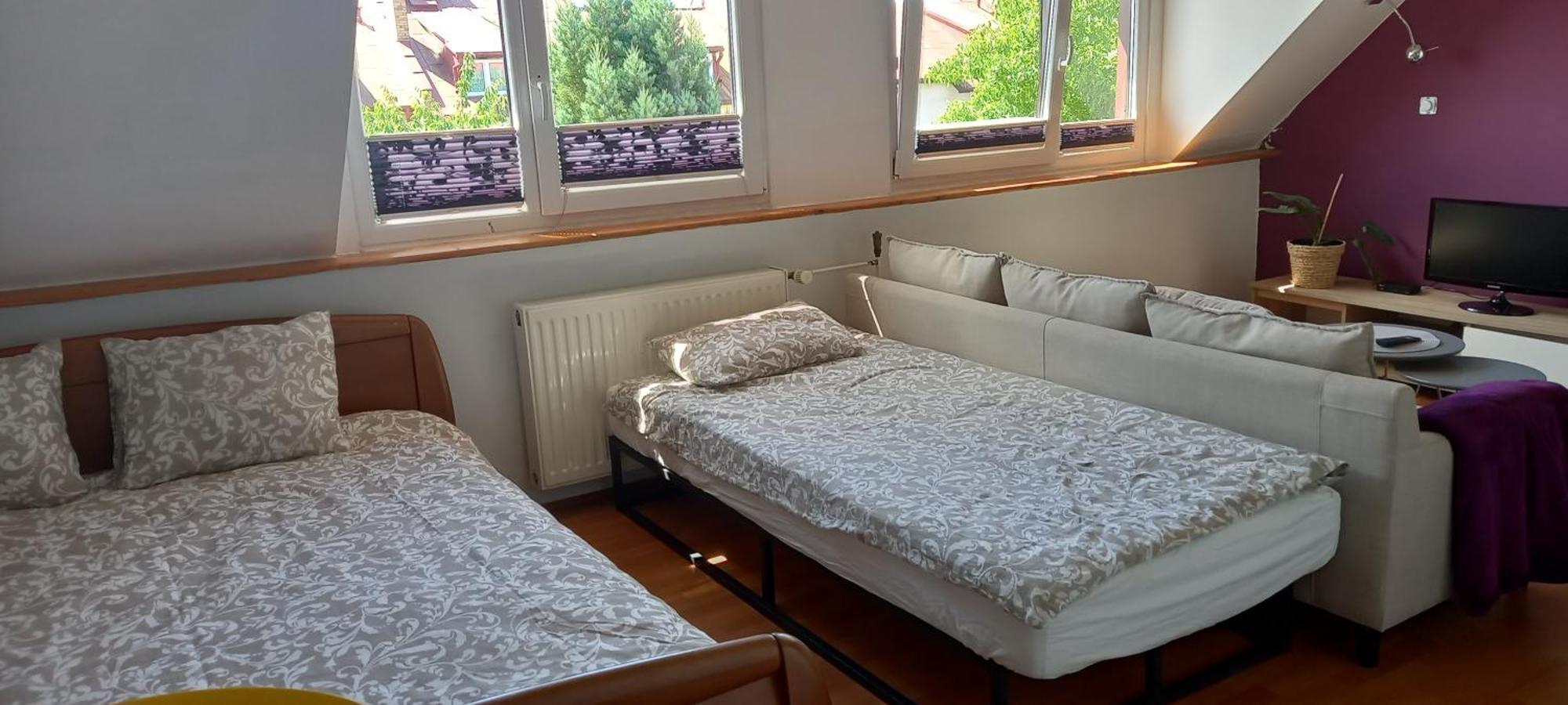 Domek Pod Sosnami Pokoje 2-3 Osobowe Apartment เมียลโน ภายนอก รูปภาพ